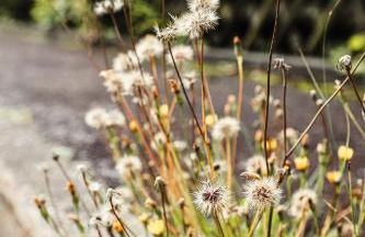 Talblick 5, mit Sauna und wunderschönen Panoramablick NEU - Foto 36