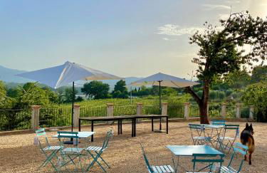 Donna Vittori - Borgo Agricolo - Foto 53