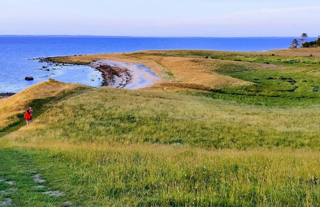 4 Person Holiday Home in Grevinge - Foto 17