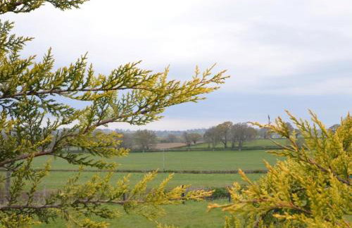 2 Bed in Yeovil oc-82694 - Foto 19