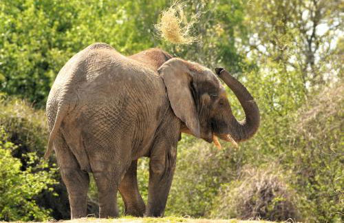 Trieste, 2 Bedroom, 6 Berth Caravan, Seasalter - Foto 38