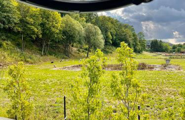 Na Skraju Lasu Domek na Drzewie & Glamping - Foto 45