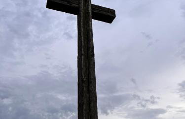 Brzozowy Zakątek - Foto 38