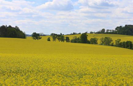Ferienhaus Drebach - Foto 104