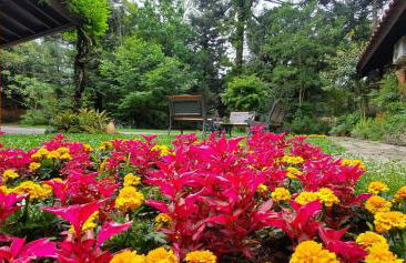 CASA GOLDONI GRAMADO 4 Quartos - Photo 42