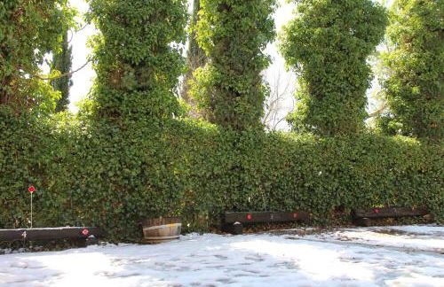 Whole House at Eaglenest Inn with Pool & Seasonal SPA - Foto 31