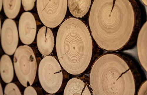 HIRSCH Hänsel Ferienhaus Garten mit Bergblick - Grill -Wald - Foto 9