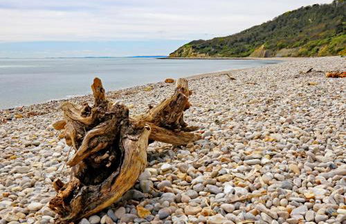 3 Bed in Lyme Regis 61809 - Foto 26