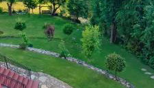 Mieszkanko z tarasem - Foto 5