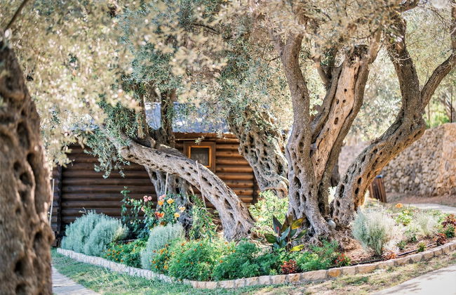 Holiday Park Tree - Foto 32