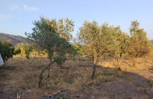 Casa vacanza Larimar azienda agricola rigenerativa naturale - Foto 13