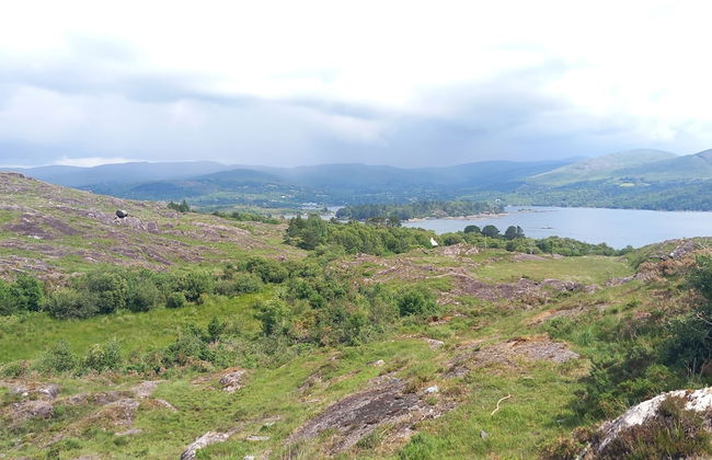 Cuckoo Tree House, Glengarriff, Beara Peninsula - Foto 16