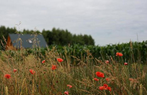 Jej i Jego - Eleganckie domki z balią na wyłączność - Photo 49
