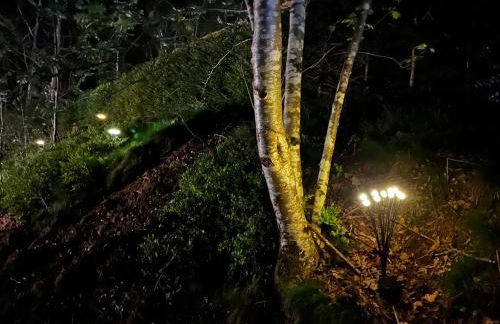 Vosges Hygge - Chalets Lodges & Spa - Foto 48