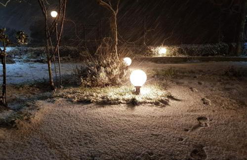 Etna, salvia e rosmarino - Foto 43