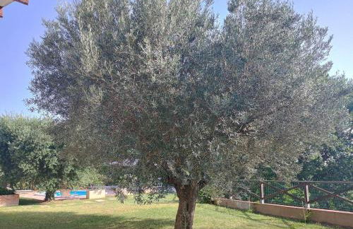 Casa Rosa, country villa with swimming pool - Foto 12