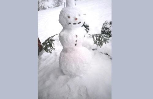 Charmantes Ferienhaus in Skigebietsnaehe - Foto 30