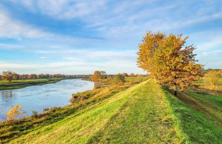 Agroturystyka Nad Wartą - Foto 48
