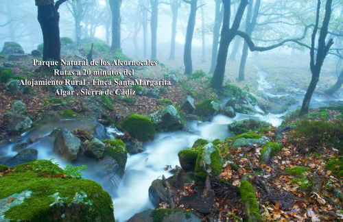 Alojamiento Rural - Finca Santa Margarita - Foto 26