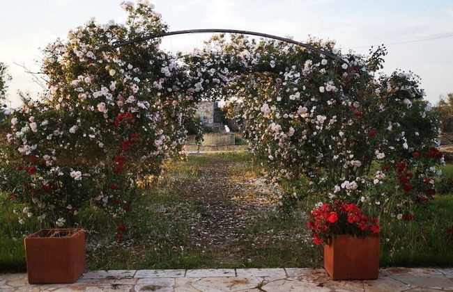 Dimore del Roseto - Foto 53