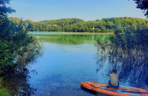 Pod Żurawiem Urokliwy domek na Kaszubach - Foto 64
