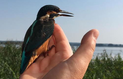 Ferienhaus Biberburg - Foto 17