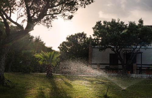 Residence Cassiodoro - Photo 31