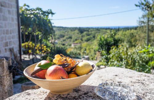 Country House Bakicevo - Photo 50
