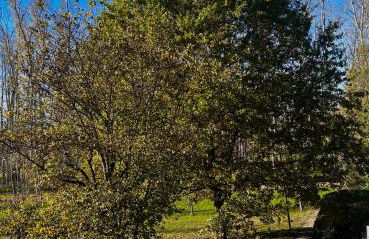 Appartamento San Felice - Foto 24