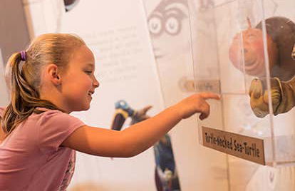 Ingresso do WonderWorks de Pigeon Forge - Foto 2