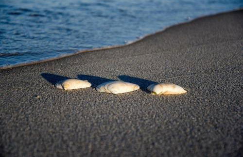 Beachy Lavallette Cottage with Outdoor Shower, Patio - Foto 27