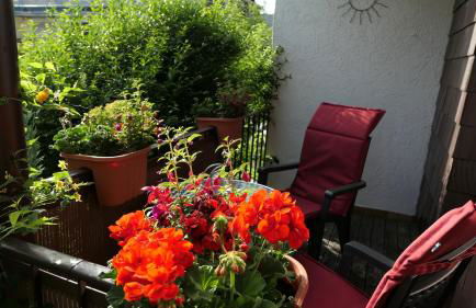 Gästehaus Guter Stern - Foto 13