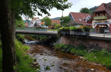 Ferienwohnung "Hirschlein" im Schwarzwald - Foto 35