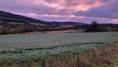 Smithy Cottage - Foto 5