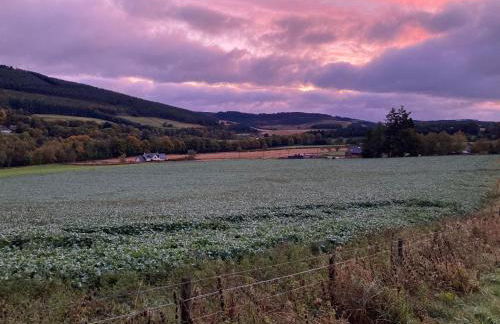 Smithy Cottage - Foto 5