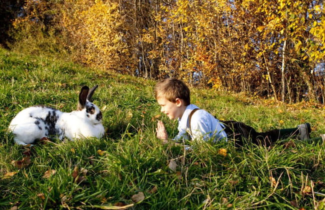 Apartment Adlerhorst - Schwalbenhof Farm - Foto 19