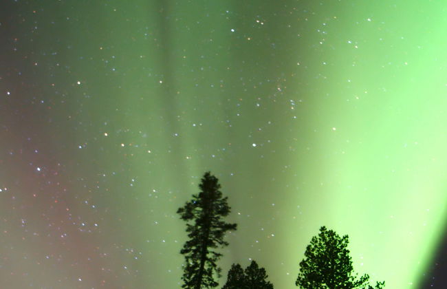 Aurora Colosseum Trip - Foto 6