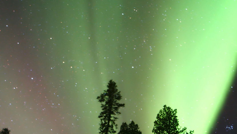 Northern Lights Snowmobile Tour - Foto 3