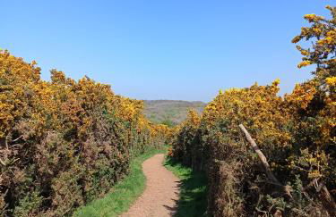 La Maison Des Caps AU BLANCNEZ - Foto 49