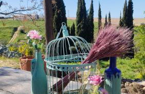 Las Brujas - Foto 21