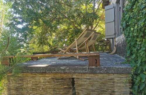 Dendrocopos Medius - Photo 21