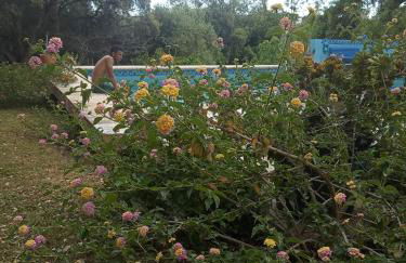 Sotogrande. Estancia privada en plena naturaleza - Foto 22