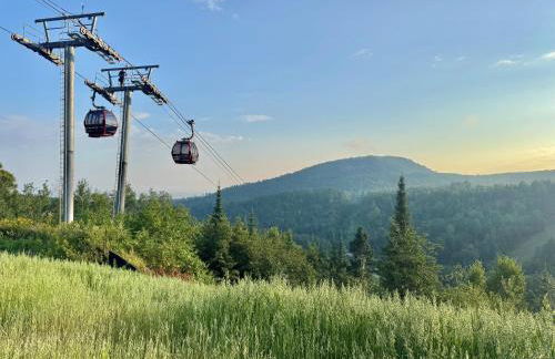 Ski-in Ski-out Townhome at Lutsen Mountain, Pool, Hot Tub, Fitness, Sauna and more! - Foto 40