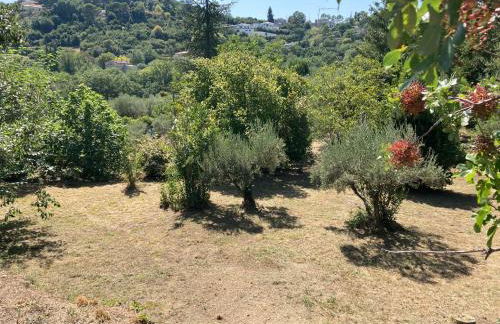 Chez la Mamé - Foto 9