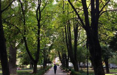 ΕΥΕΛΗ - Photo 30