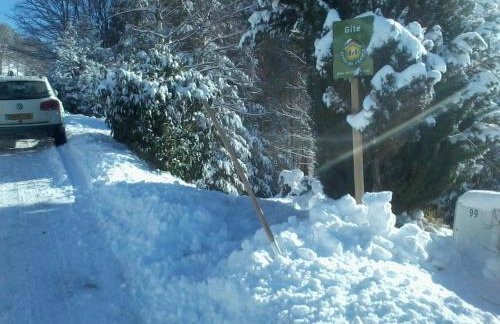 Chalet 3 étoiles avec sauna près de La Bresse - FR-1-589-18 - Foto 4