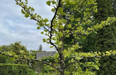 The Cottage, Walworth Demesne - Foto 45