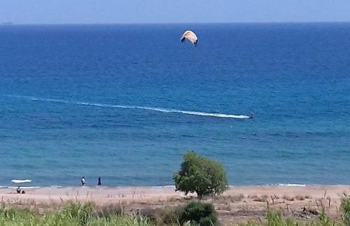 Margarita House - Photo 33