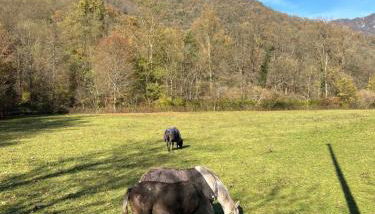 Cascina Canale - Foto 2