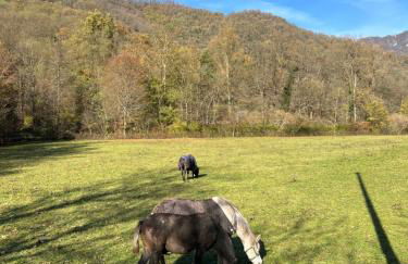 Cascina Canale - Foto 2